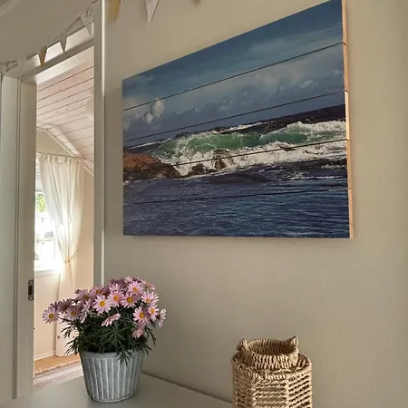 Vakantiehuis Trivelig Leilighet, Risor, Sorlandet Med Tilgang Til Bat *