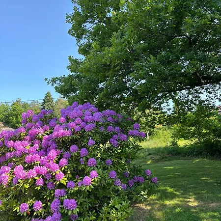 Trivelig Leilighet, Risor, Sorlandet Med Tilgang Til Bat
