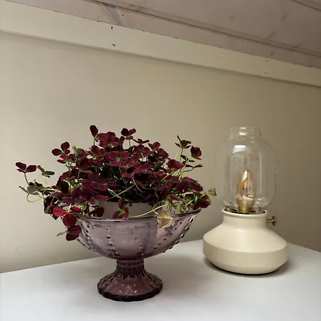 Trivelig Leilighet, Risor, Sorlandet Med Tilgang Til Bat Vakantiehuis